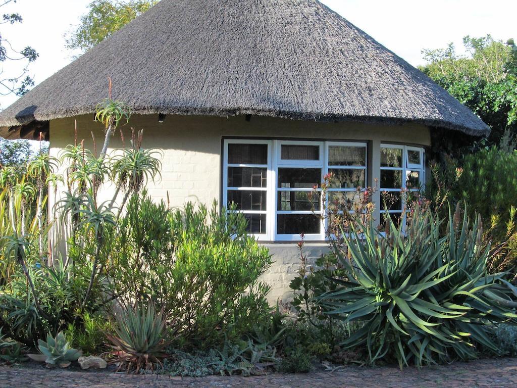 Serpentine Manor Hotel Wilderness Room photo