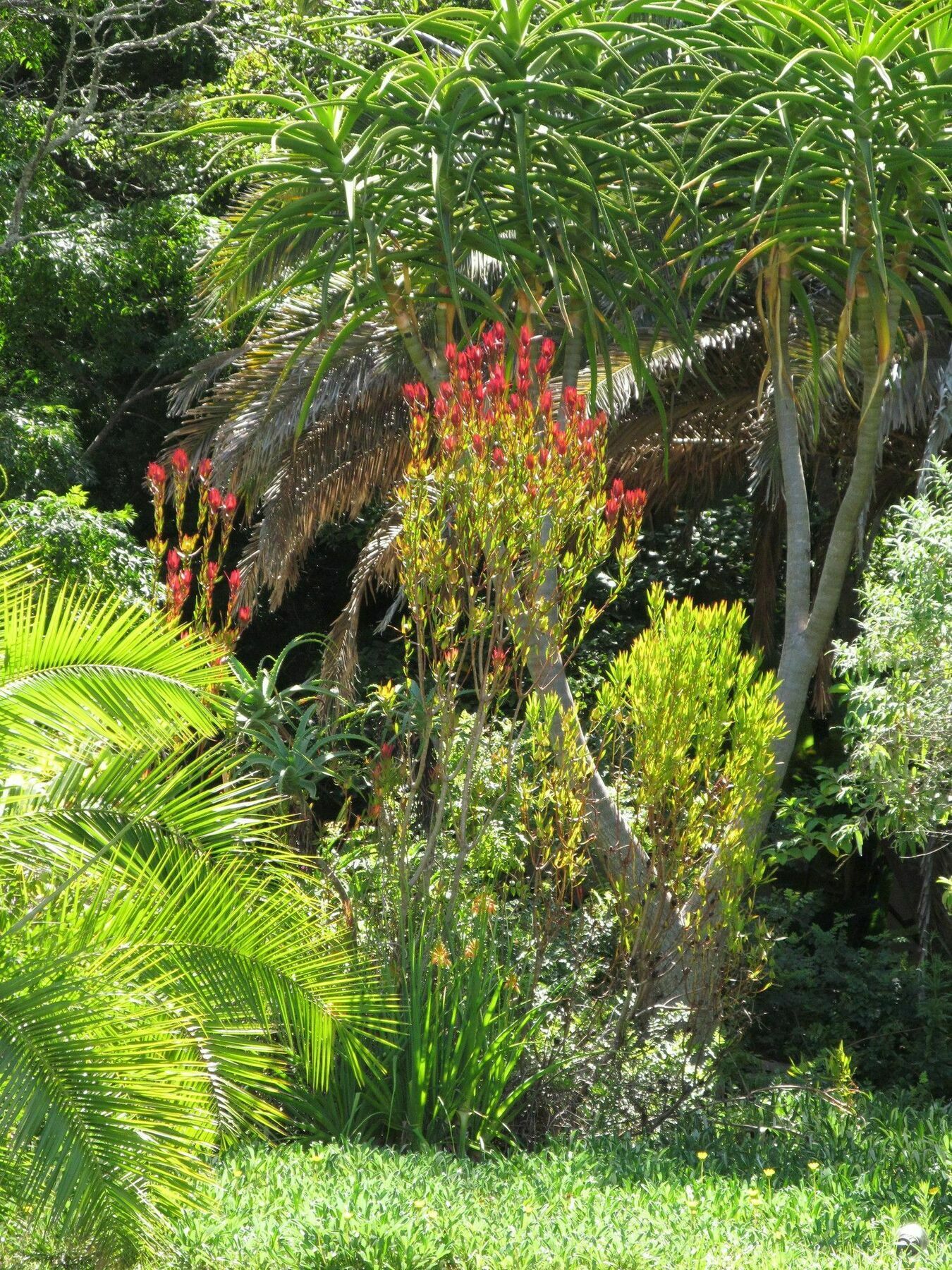 Serpentine Manor Hotel Wilderness Exterior photo